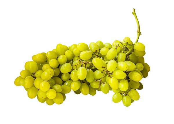 Bunch Sweet Juicy Grapes Isolated White — Stock Photo, Image