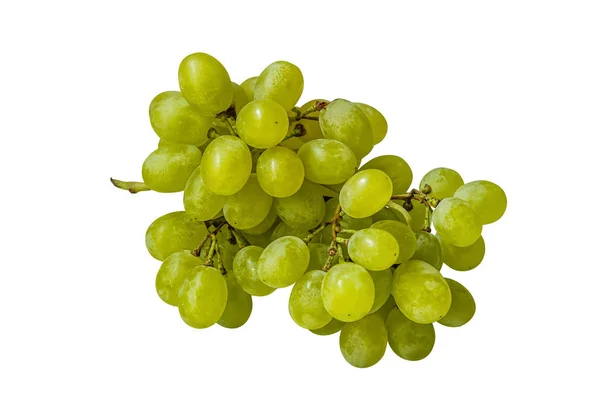 Bunch Sweet Juicy Grapes Isolated White — Stock Photo, Image