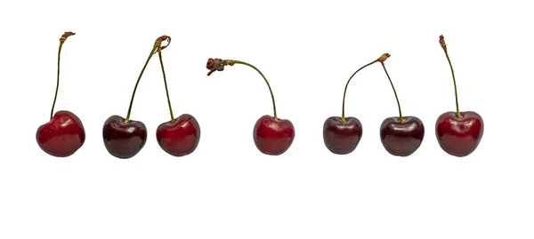 Ensemble Cerises Douces Juteuses Mûres Isolées Sur Blanc — Photo