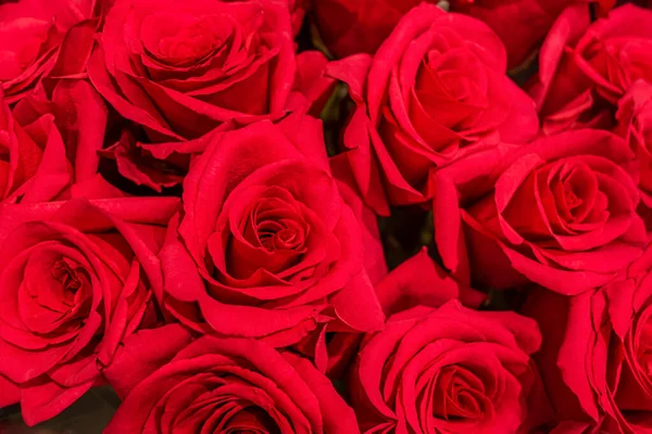 Blumiger Hintergrund Eines Straußes Roter Rosen — Stockfoto