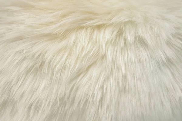 Abstract Background Elegant Warm White Fur Close — Stock Photo, Image