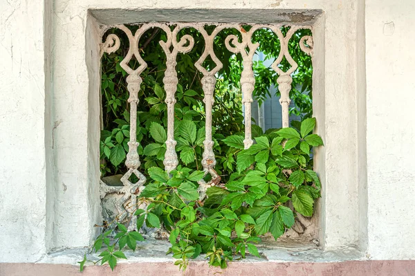 Fenêtre Avec Des Bars Dans Vieux Mur Jardin — Photo