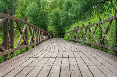 Yaya geçidi parkın içinde.