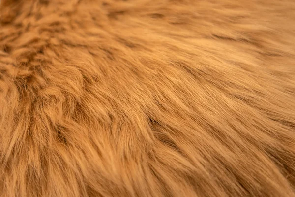 Abstract Background Elegant Warm Ginger Fur Close — Stock Photo, Image