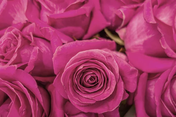 Blumiger Hintergrund Eines Straußes Lila Rosen — Stockfoto