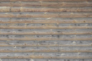 Bir buket mor gülün çiçek arkaplanı