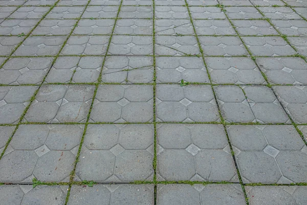 Abstract Background Tiled Walkway Park Grass Punching Joints Close — Stock Photo, Image