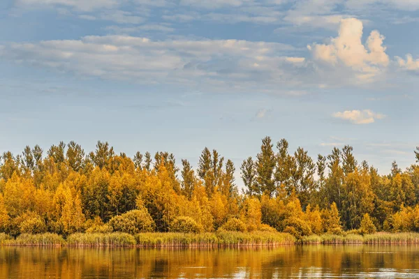 stock image landscape of golden autumn at a forest lake