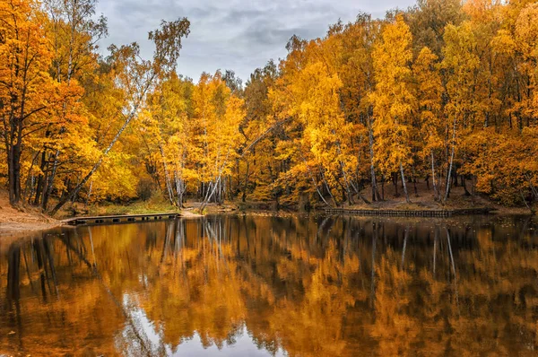 Paisagem Outono Dourado Lago Floresta — Fotografia de Stock
