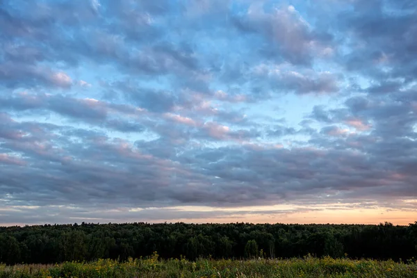 Krajobraz Łąki Drewna Pod Zachodem Słońca Zachmurzone Niebo — Zdjęcie stockowe