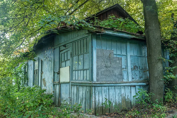 Övergivet Trähus Med Igenvuxen Trädgård — Stockfoto