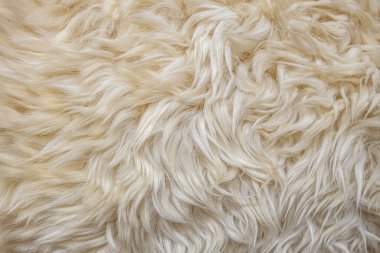 Zarif, sıcak, beyaz kürkün soyut arkaplanı