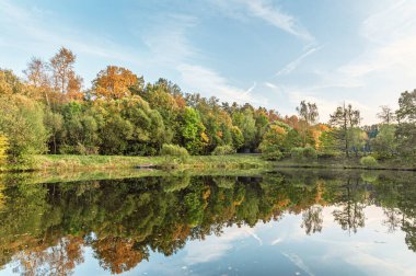Bir orman gölünde altın sonbahar manzarası