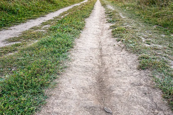 Fondo Camino Entre Prado — Foto de Stock