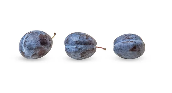 Prunes Sucrées Mûres Isolées Sur Blanc — Photo