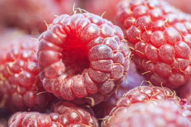 Olgun tatlı ahududuların arka planı. Yaklaş.