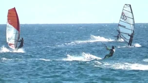 Windsurfer Που Πλέουν Την Παραλία Του Λος Αυλοί Στο Tarifa — Αρχείο Βίντεο