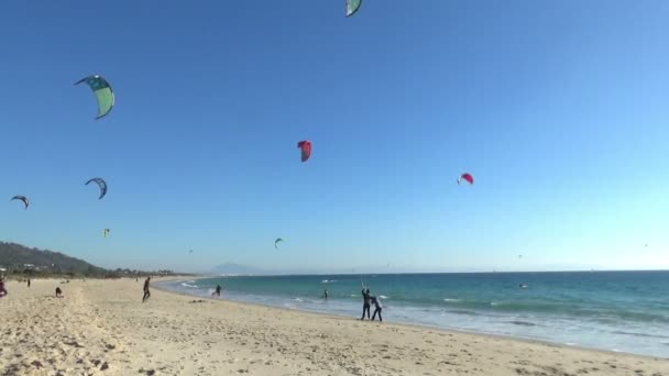 Windsurfers Kitesurfers Training Beach Los Lances Tarifa Town South Spain — Stock Video