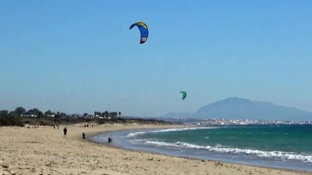 Windsurfers Και Kitesurfers Κατάρτισης Κατά Μήκος Την Παραλία Του Λος — Αρχείο Βίντεο