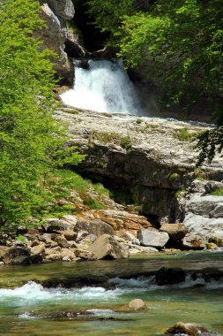 Cascada de la Cueva, şelale Nehri Arazas İspanyol Pyrenees içinde Ordesa Milli Parkı.