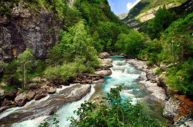 Bujaruelo alp nehir İspanyol Pyrenees kasabada Tolr yakın hızlı akışları.