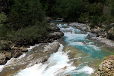 Bujaruelo alp nehir İspanyol Pyrenees kasabada Tolr yakın hızlı akışları.