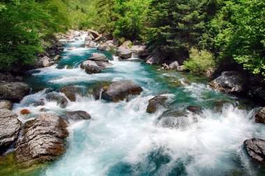 Bujaruelo alp nehir İspanyol Pyrenees kasabada Tolr yakın hızlı akışları.