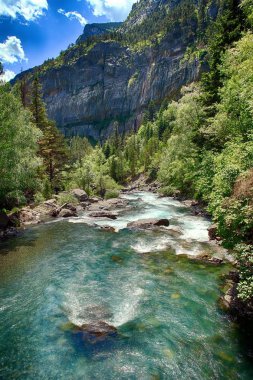 Bujaruelo alp nehir İspanyol Pyrenees kasabada Tolr yakın hızlı akışları.