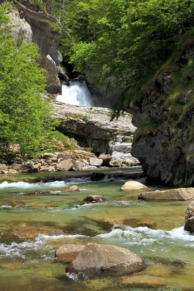 Cascada de la Cueva, şelale Nehri Arazas İspanyol Pyrenees içinde Ordesa Milli Parkı.
