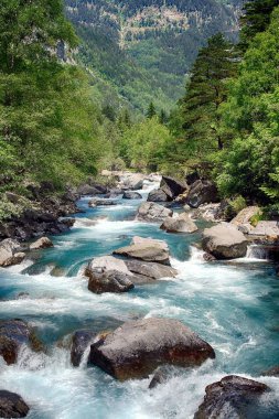 Fast streams in the alpine river of Bujaruelo close to Tolr town in the spanish Pyrenees. clipart
