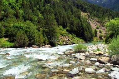 Arazas Nehri Huesca İspanyol il içinde Ordesa Milli Parkı.