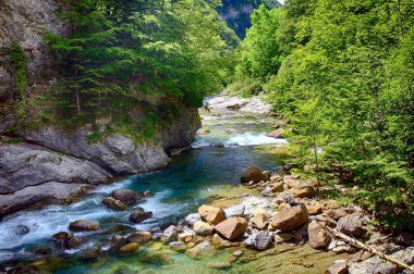 Hızlı akış anf krest Arazas Nehri içinde Ordesa Milli Parkı İspanya.