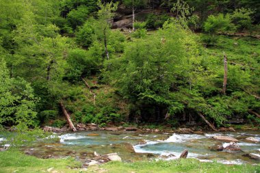 Hızlı akış anf krest Arazas Nehri içinde Ordesa Milli Parkı İspanya.