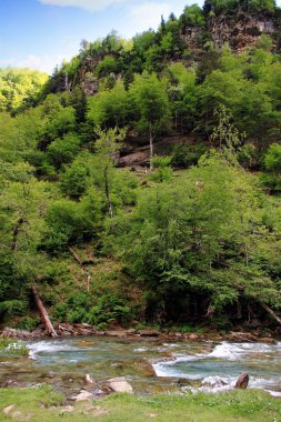 Hızlı akış anf krest Arazas Nehri içinde Ordesa Milli Parkı İspanya.