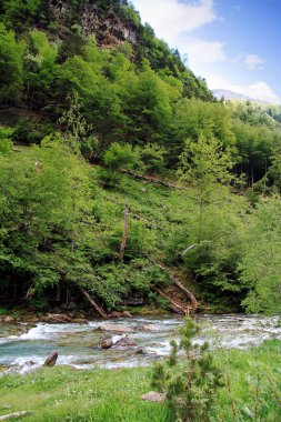 Hızlı akış anf krest Arazas Nehri içinde Ordesa Milli Parkı İspanya.
