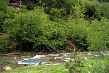 Hızlı akış anf krest Arazas Nehri içinde Ordesa Milli Parkı İspanya.