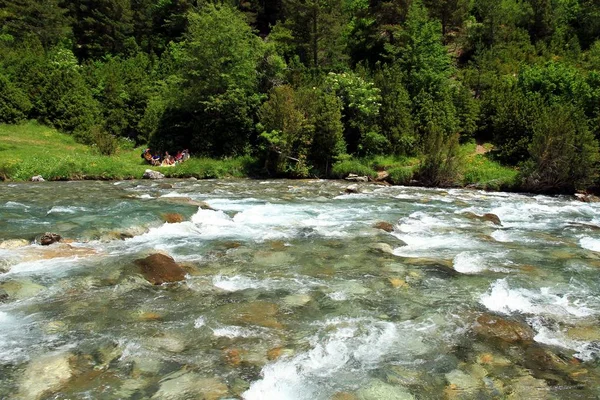 Arazas Rivière Dans Parc National Ordesa Dans Province Espagnole Huesca — Photo