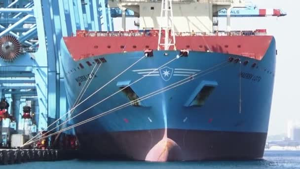 Gran Buque Portacontenedores Maersk Lotta Carga Descarga Contenedores Puerto Algeciras — Vídeo de stock