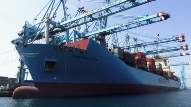 Μεγάλη Containership Maersk Lotta Φόρτωσης Και Μεταφόρτωσης Εμπορευματοκιβωτίων Στο Λιμάνι — Αρχείο Βίντεο