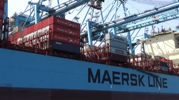 Containership Grande Maersk Lotta Carregamento Download Contêineres Porto Algeciras Sul — Vídeo de Stock