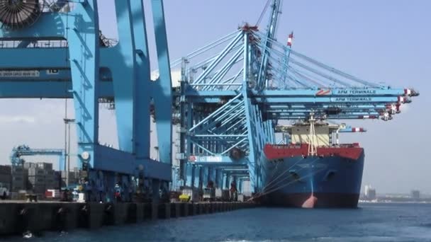 Gran Buque Portacontenedores Maersk Lotta Carga Descarga Contenedores Puerto Algeciras — Vídeos de Stock