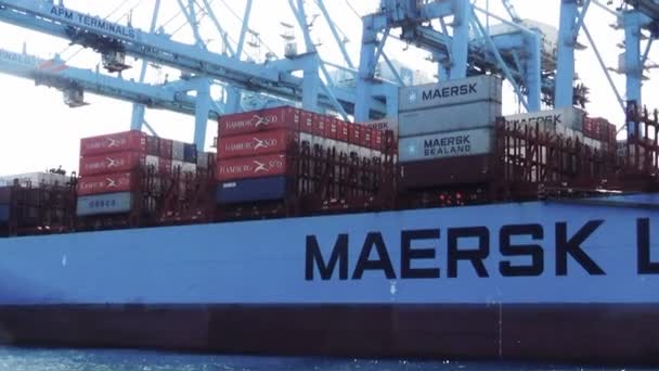 Grand Porte Conteneurs Maersk Lotta Chargement Téléchargement Des Conteneurs Dans — Video