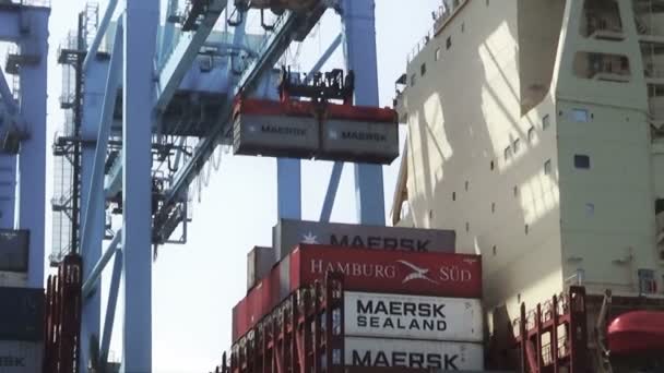 Container Wurden Von Großen Schiffen Hafen Von Algeciras Durch Portalkränen — Stockvideo