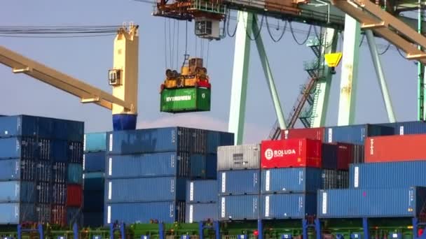 Containerschip Cinzia Aangemeerd Haven Van Valencia Containers Met Gantry Kranen — Stockvideo
