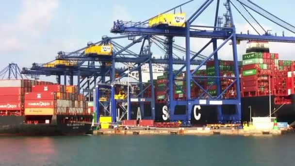 Gigantiska Containerfartyg Muraba Dockad Och Hämta Sina Containrar Genom Portalkranar — Stockvideo