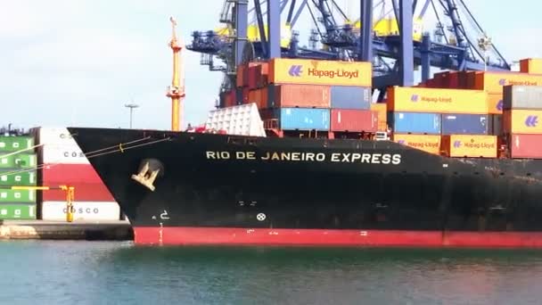 Porte Conteneurs Travaillant Avec Grantry Grues Dans Port Valence Espagne — Video