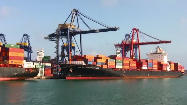 Porte Conteneurs Travaillant Avec Grantry Grues Dans Port Valence Espagne — Video