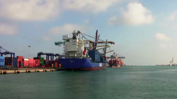 Portacontenedores Cinzia Atracado Puerto Valencia Descarga Contenedores Con Grúas Pórtico — Vídeos de Stock