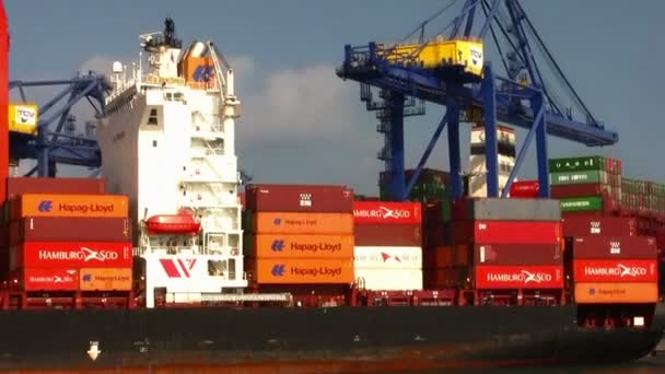 Porte Conteneurs Travaillant Avec Grantry Grues Dans Port Valence Espagne — Video