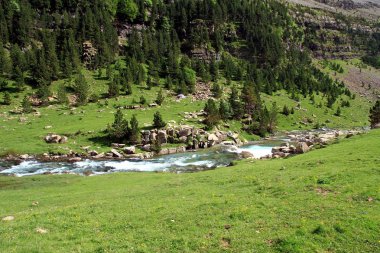 Dağlar, şelaleler ve İspanyol Pyrenees Ordesa Milli Parkı alp bölgenin üst su yolu.